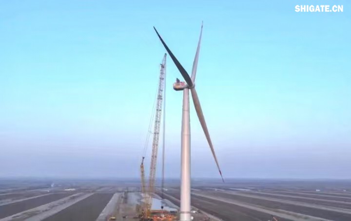 1月11日，全球最大功率等級的漂浮式風電機組——中國中車“啟航號”在山東東營風電裝備測試認證創(chuàng)新基地吊裝成功，標志著我國在海上超大型風機的探索邁出重要一步。該項目風電機組的配套塔筒是全球直徑最大、重量最重的塔筒型號，所用鋼板由河鋼集團舞鋼公司獨家提供。  微信圖片_20250220083217.jpg  舞鋼公司深入貫徹集團要求，以客戶需求為導向，大力開展技術營銷，不斷優(yōu)化營銷方案，通過提供“一攬子”解決方案，滿足高端客戶對高品質產(chǎn)品和未來發(fā)展的需求，加速由生產(chǎn)型向“制造+服務”型企業(yè)轉變。該項目對產(chǎn)品抗沖擊性能及表面質量有著極為嚴苛的要求，且交貨期較短，生產(chǎn)難度相當大。為確保合同順利交付，舞鋼公司產(chǎn)線各單位協(xié)同聯(lián)動，強化工藝和生產(chǎn)過程控制，攻克了高強度與高延伸率匹配、低溫沖擊韌性匹配等一系列技術難題，確保了產(chǎn)品各項指標全部滿足客戶要求，并按期交付客戶。  微信圖片_20250220083224.jpg  “啟航號”20MW漂浮式海上風電塔筒是專門為20MW及以上海上漂浮式風機提供系統(tǒng)解決方案而設計的，是全球最大功率漂浮式風電機組的配套塔筒，總高度為141.15米，最大直徑12米，重量達到了1576噸。